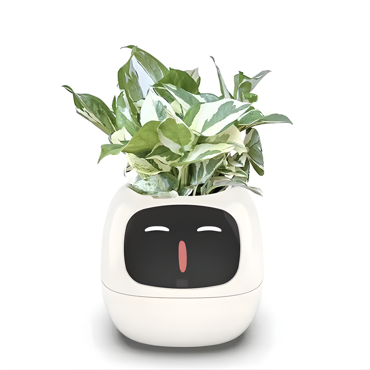 Ivy Smart Planteassistent
