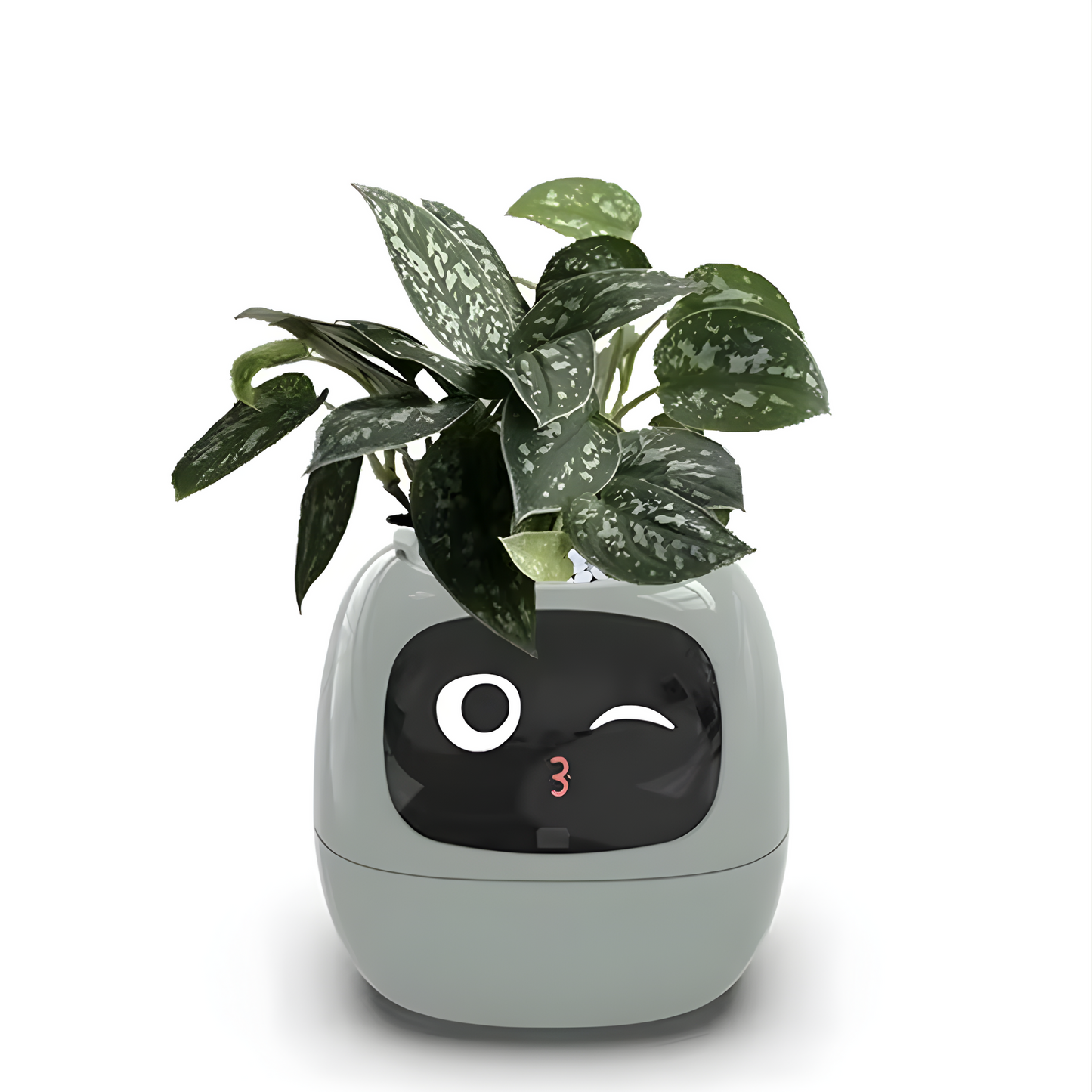 Ivy Smart Planteassistent