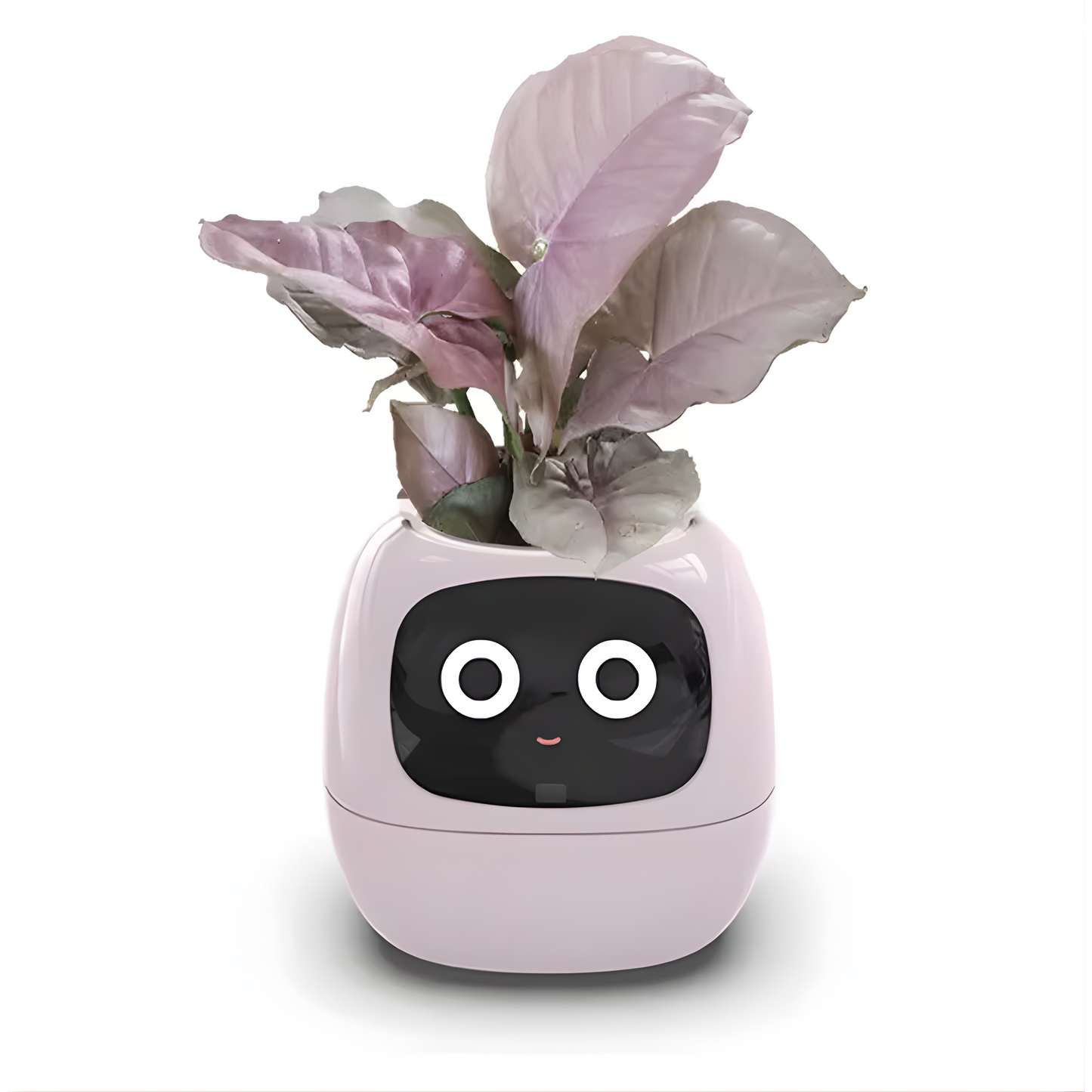 Ivy Smart Planteassistent